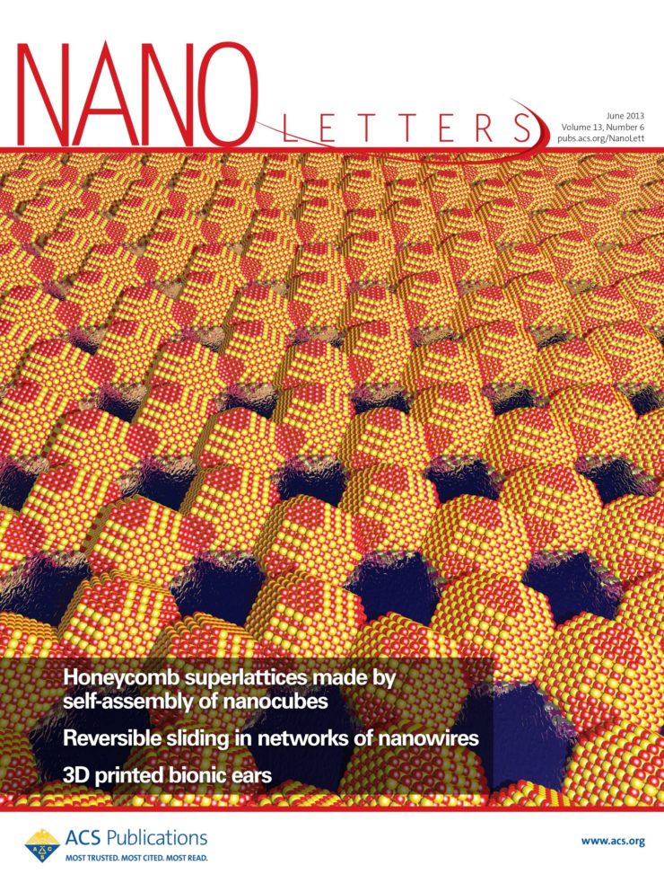 NANO LETTERS 2 visual data 8