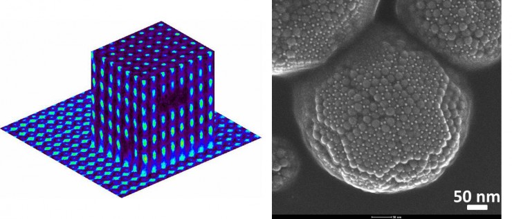 SCM-Confocal_Binary_logo